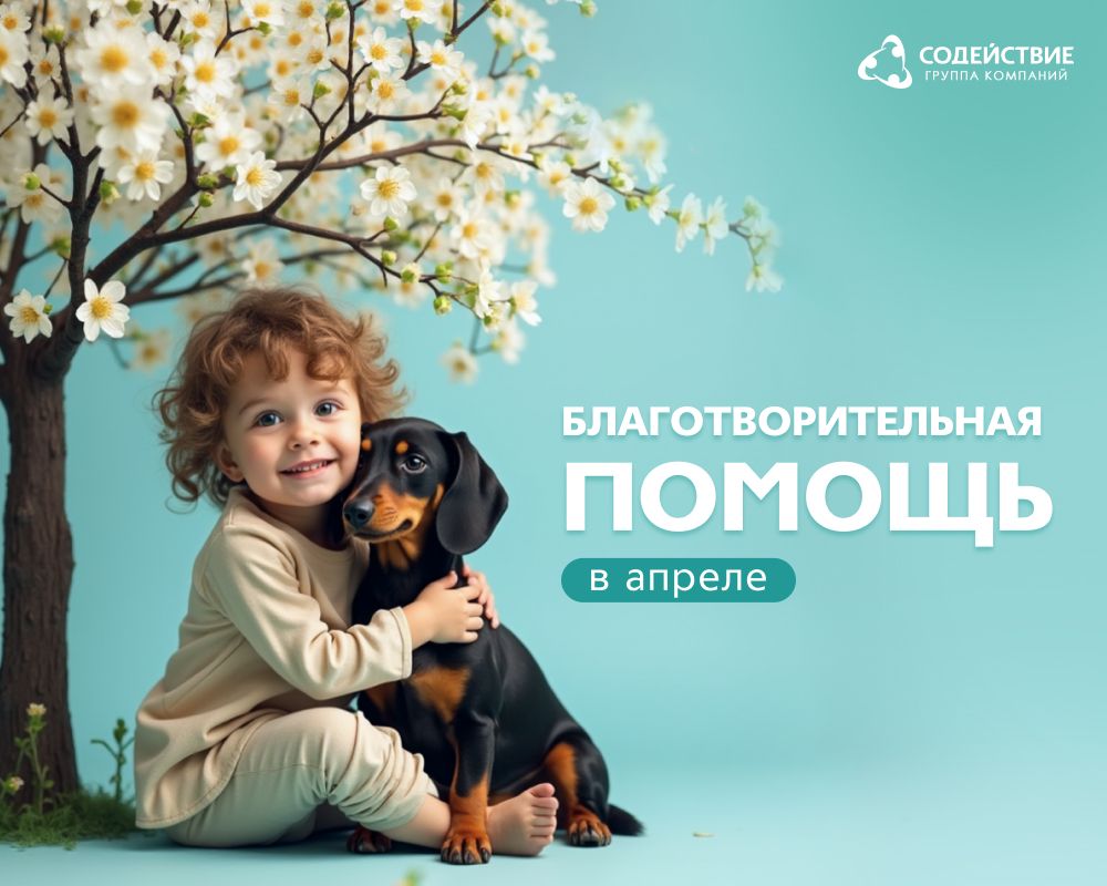 Добрый дела с ГК Содействие в апреле