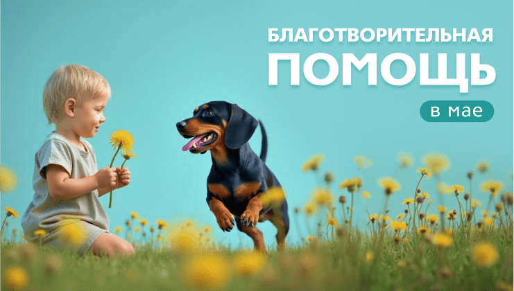 Добрые дела мая с ГК «Содействие»