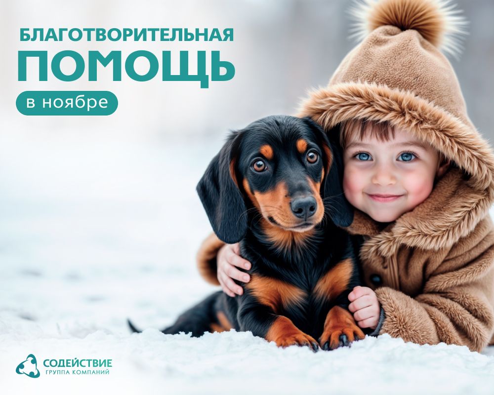 Ноябрь с ГК «Содействие»: добро, которое объединяет