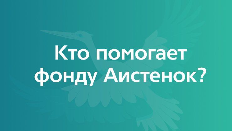 Кто помогает фонду Аистенок? 