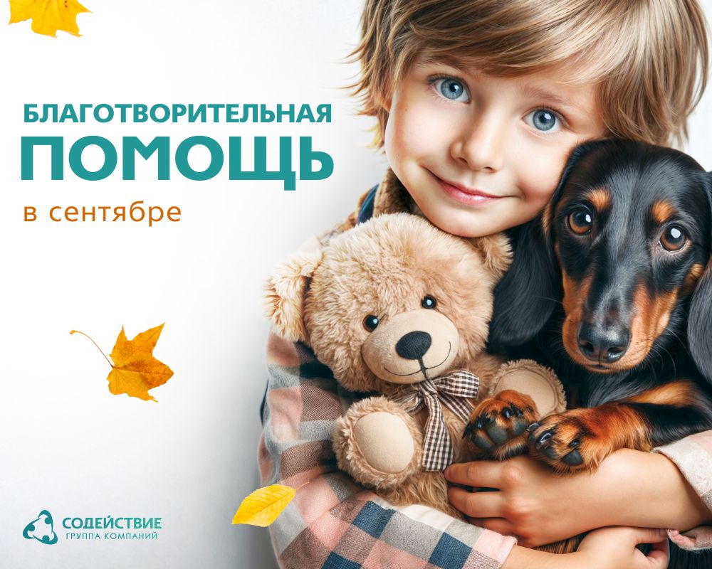 Добро в каждом шаге - Как мы помогали в сентябре